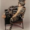 Cat on Lounge Chair (#2099)
36"h x 30"w x 23"d
©1999 Kristen Muench
photo by Debra Whalen
