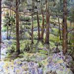 Bluebells near the fairy stump
April 2013, Pinery, CO
watercolor by Kristen Muench
30" x 22" SOLD