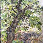 Special Place (under the oak)
Spring 2010, Pinery, CO
watercolor by Kristen Muench
30" x 22"