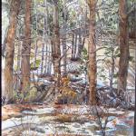Last of this Snowfall 
October 2013, Pinery, CO
watercolor by Kristen Muench
30" x 22"  SOLD
