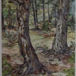 Courting Pines
Spring 2010, Pinery, CO
watercolor by Kristen Muench
30" x 22" SOLD
