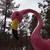 Giant Pink Flamingo (#5112) face detail
96"tall x 30"h x 13"w x 64"long base plate 31.5"dia
Commissioned by Misco Home and Garden, Dunellen, NJ
©2012 Kristen Muench
Photo by KM